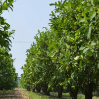 省委第七巡視組巡視西北有色金屬研究院黨委工作動員會召開